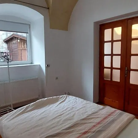 Zenaida * Sibiu